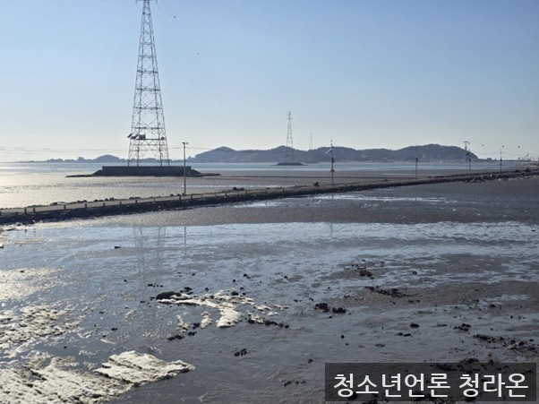 생태계의 윤활유, 갯벌 “우리가 지키자!”