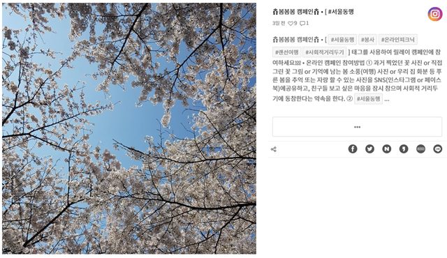 서울-동행-사회적-거리두기-봄봄봄-캠페인.jpg